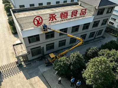益阳某企业厂区楼顶大字全景实拍——高空作业车与厂区俯瞰视角
